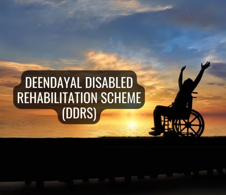 Empowering Lives: A Comprehensive Exploration of the Deendayal Disabled Rehabilitation Scheme (DDRS)