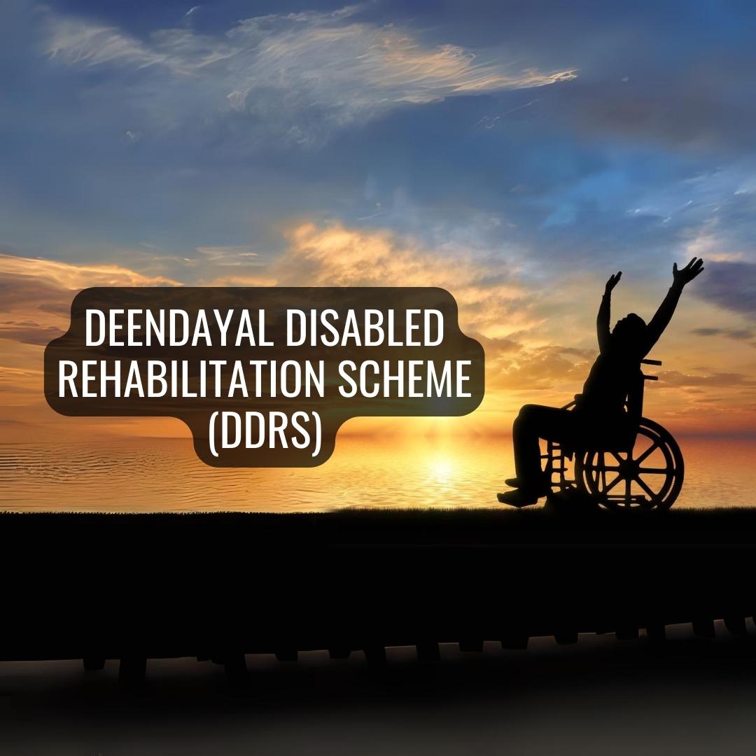 Empowering Lives: A Comprehensive Exploration of the Deendayal Disabled Rehabilitation Scheme (DDRS)